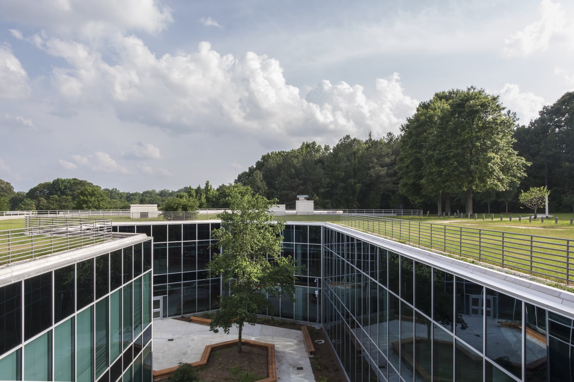 View of living rooftop garden on top of school. Looking down onto an atrium complete with glass windows from roof to ground.